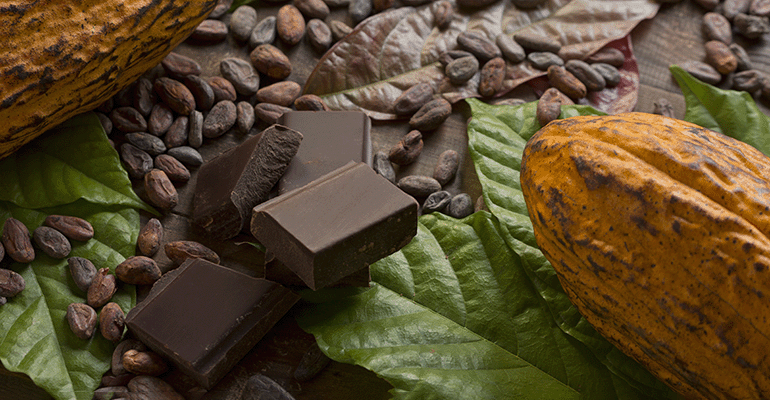 Questions over study linking cocoa flavanols with memory benefits ...